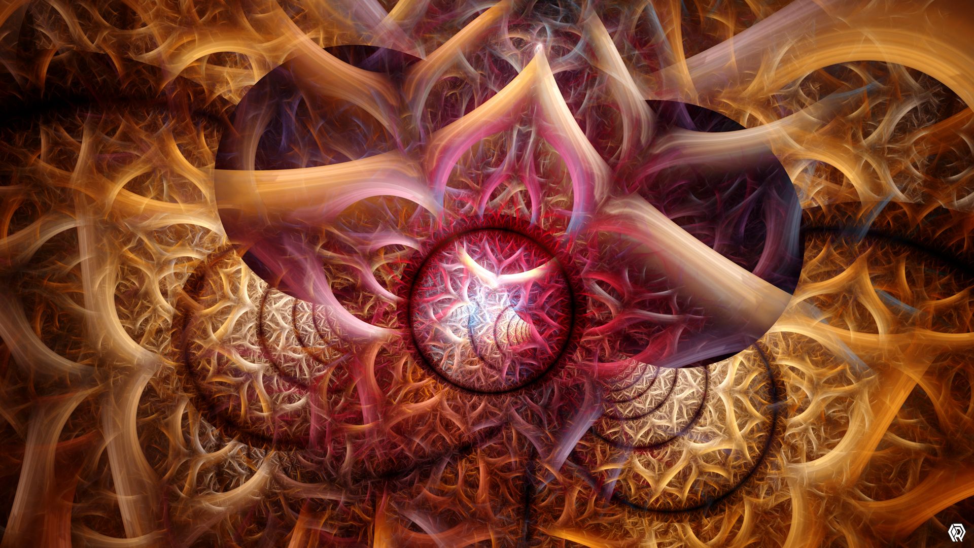 The orb nest has folded in on itself, creating a chaotic tangle within and without, in bright pinks and warm orange tones.