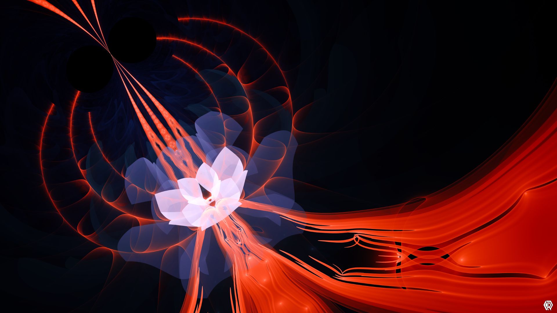 A bright white flower with vivid orange roots shines in the dark.